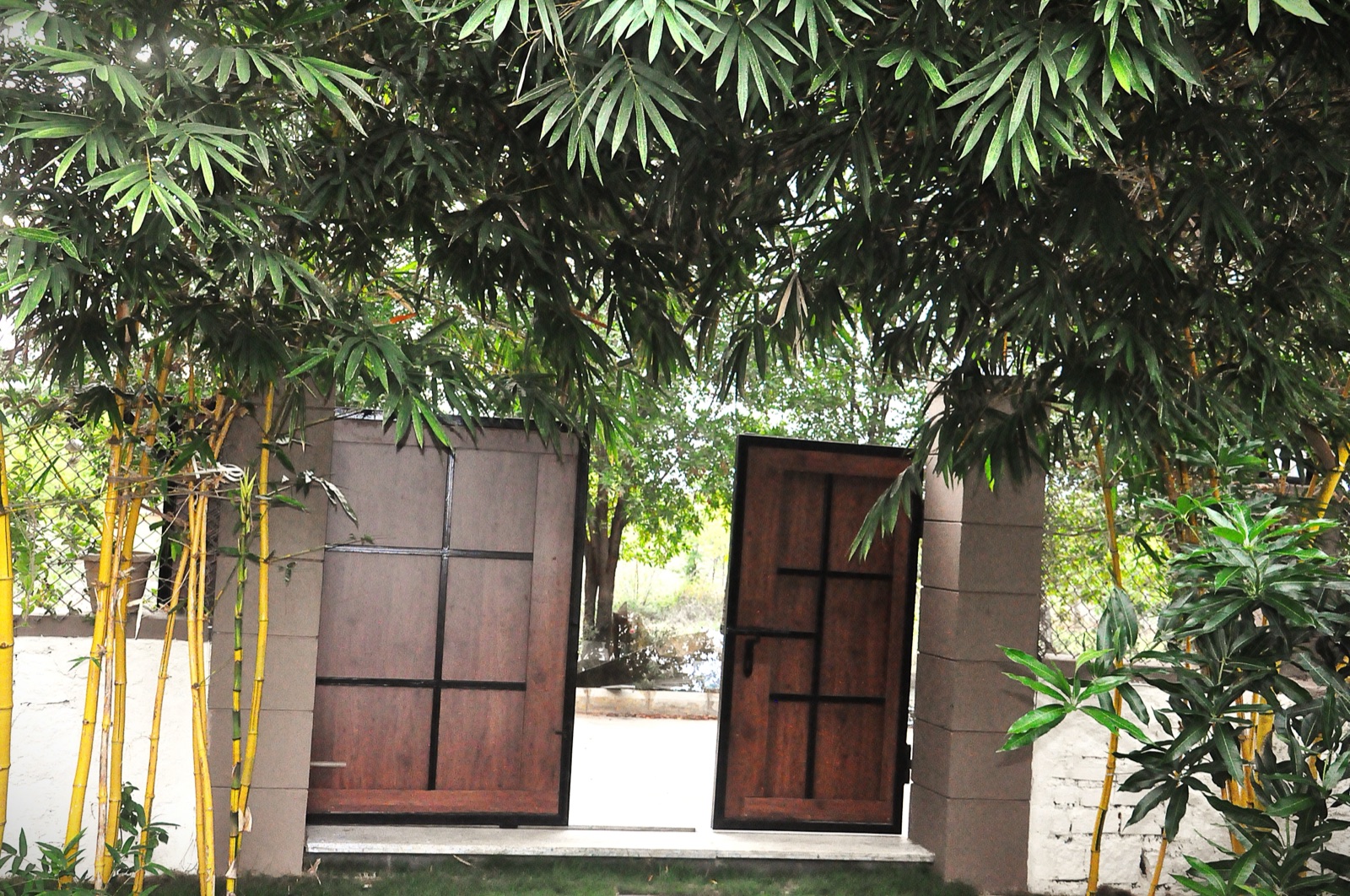Rustic wooden doors framed by bamboo and greenery in the garden