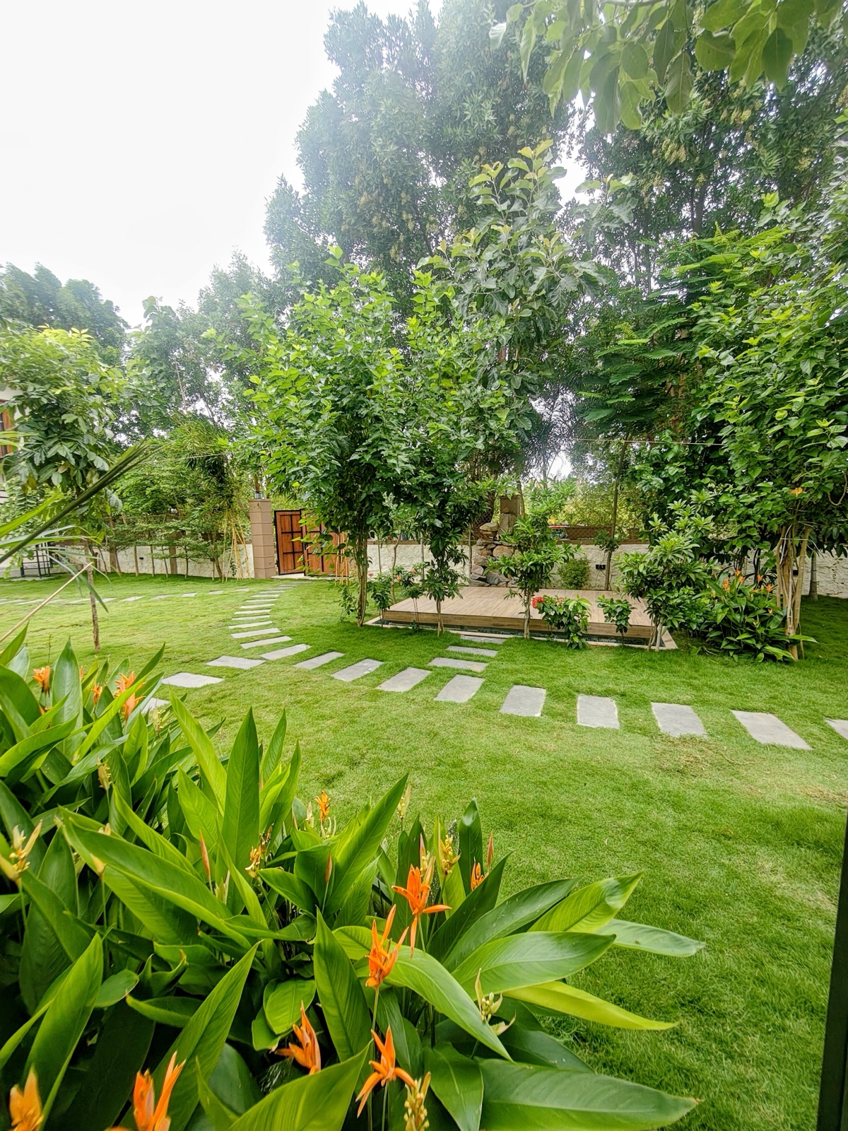 A wooden deck platform set in the mini orchard, surrounded by lush lawn and flowers